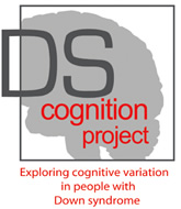 DS Cognition Project